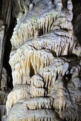 2018 07 12T13 26 15 IMG 1054