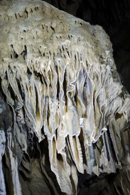 2018 07 12T13 35 28 IMG 1060