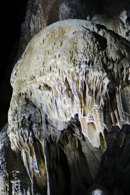 2018 07 12T13 35 51 IMG 1062