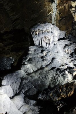 2018 07 12T13 53 08 IMG 1067