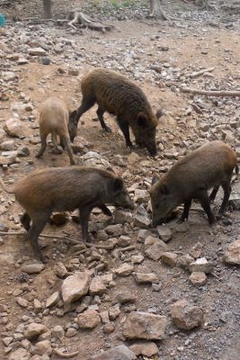 2018 07 12T15 04 55 IMG 0129