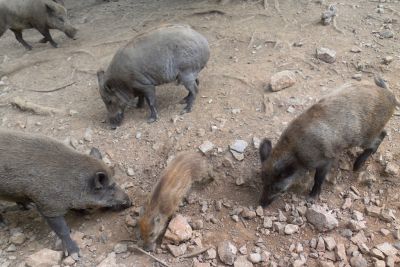 2018 07 12T15 05 15 IMG 0133