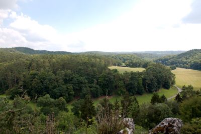 2018 07 12T15 18 56 IMG 1076