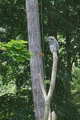 2018 07 12T15 24 24 IMG 1080