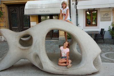 2018 08 15T09 25 54 IMG 5913