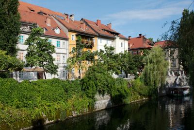 2018 08 15T09 28 52 IMG 5917