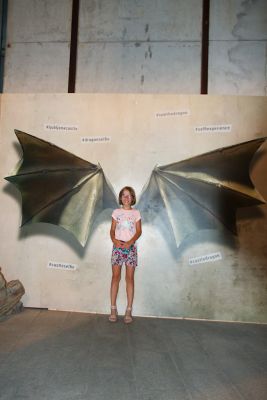 2018 08 15T09 46 37 IMG 5925