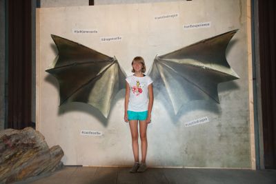 2018 08 15T09 46 45 IMG 5926