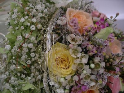 8800811246 83b516a6d4 o