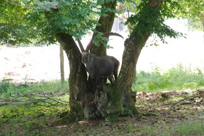 2018 07 12T15 41 07 IMG 1086