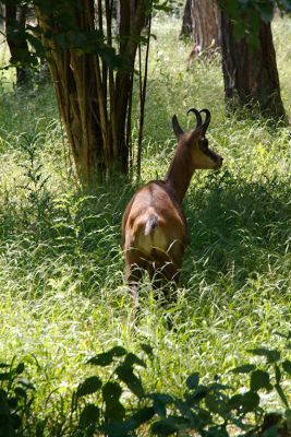 2018 07 12T15 42 47 IMG 1090