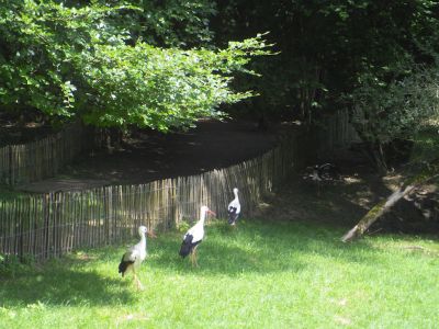 2018 07 12T15 49 33 IMG 0174