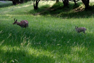 2018 07 12T15 51 22 IMG 1095