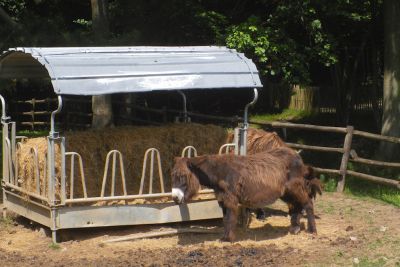 2018 07 12T15 54 25 IMG 0177