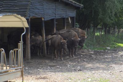 2018 07 12T16 00 27 IMG 0180