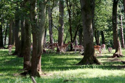 2018 07 12T16 07 38 IMG 1106