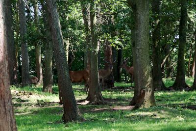 2018 07 12T16 08 09 IMG 1109