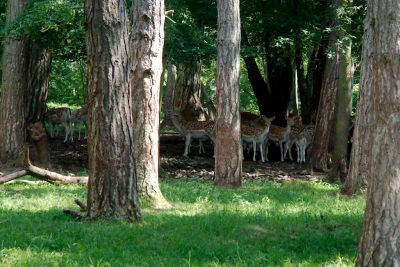 2018 07 12T16 09 43 IMG 1110