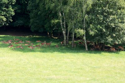 2018 07 12T16 13 31 IMG 1111