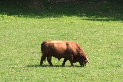 2018 07 12T16 30 58 IMG 1117