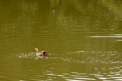 2018 07 13T12 27 43 IMG 1281