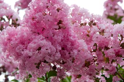 2018 07 13T12 31 37 IMG 1287