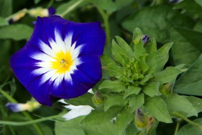 2018 07 13T12 41 08 IMG 1294