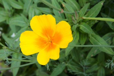 2018 07 13T12 41 49 IMG 1298