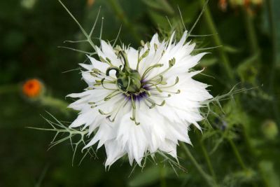 2018 07 13T12 42 11 IMG 1300