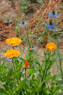 2018 07 13T12 45 19 IMG 1305