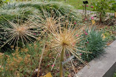 2018 07 13T12 45 57 IMG 1306