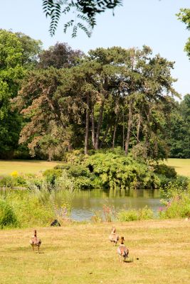 2018 07 13T12 49 16 IMG 1310