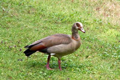 2018 07 13T12 53 24 IMG 1313