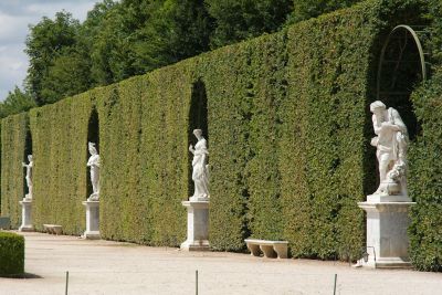 2018 07 17T14 47 13 IMG 1788