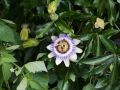 2017 08 03T14 06 12 IMG 8332