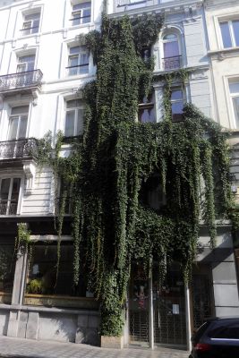 2017 08 08T16 20 29 IMG 3748