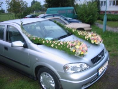 nasz powz a w zasadzie mariana 8790165987 o