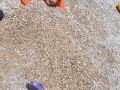 2016 07 23T14 14 57 IMG 1043