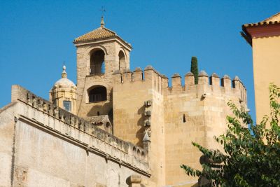 2015 08 05T10 36 08 IMG 0440