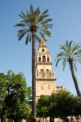 2015 08 05T11 00 46 IMG 0450