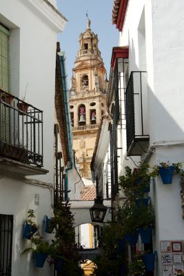 2015 08 05T12 04 00 IMG 0523