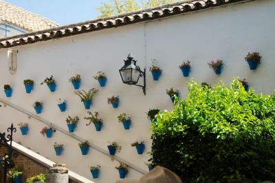 2015 08 05T12 34 42 IMG 0533