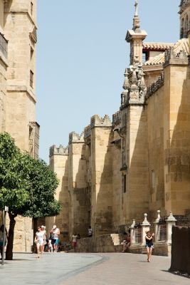 2015 08 05T13 03 32 IMG 0545