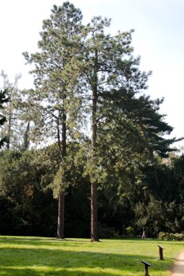 2015 09 13T11 26 14 IMG 1276