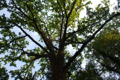 2015 09 13T11 40 50 IMG 1287