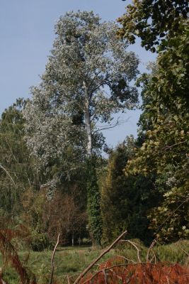 2015 09 13T11 53 57 IMG 1299