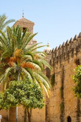 2015 08 05T14 47 19 IMG 0559