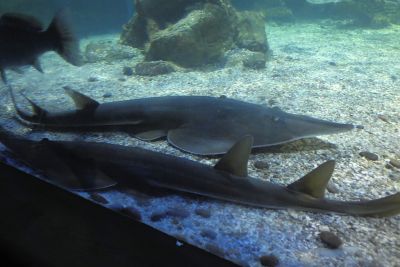 2015 08 10T16 15 10 IMG 1237