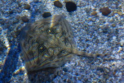 2015 08 10T16 18 34 IMG 0896