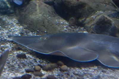 2015 08 10T16 20 24 IMG 0911